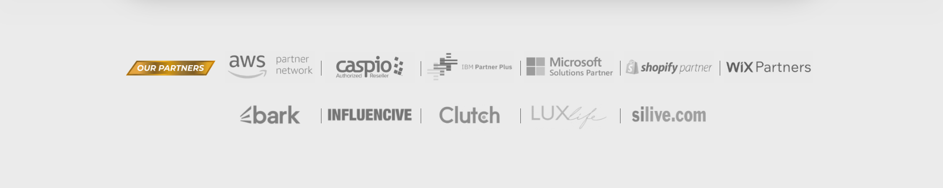 Partners and brands Ayan Parvaiz has worked with — AWS, Microsoft, IBM, Shopify, Wix, Caspio, Clutch and more